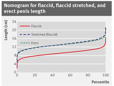 flaccid cock photos|File:Flaccid and Erect Size Comparison.jpg .